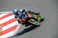 brands-hatch-photographs;brands-no-limits-trackday;cadwell-trackday-photographs;enduro-digital-images;event-digital-images;eventdigitalimages;no-limits-trackdays;peter-wileman-photography;racing-digital-images;trackday-digital-images;trackday-photos